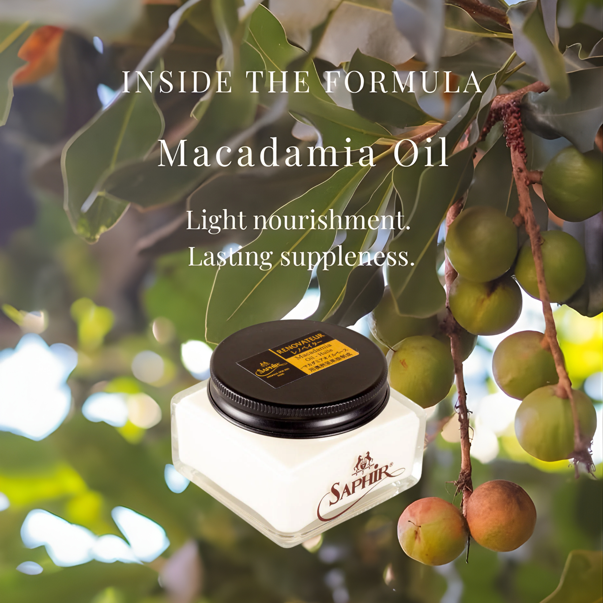 Rénovateur Macadamia Cream