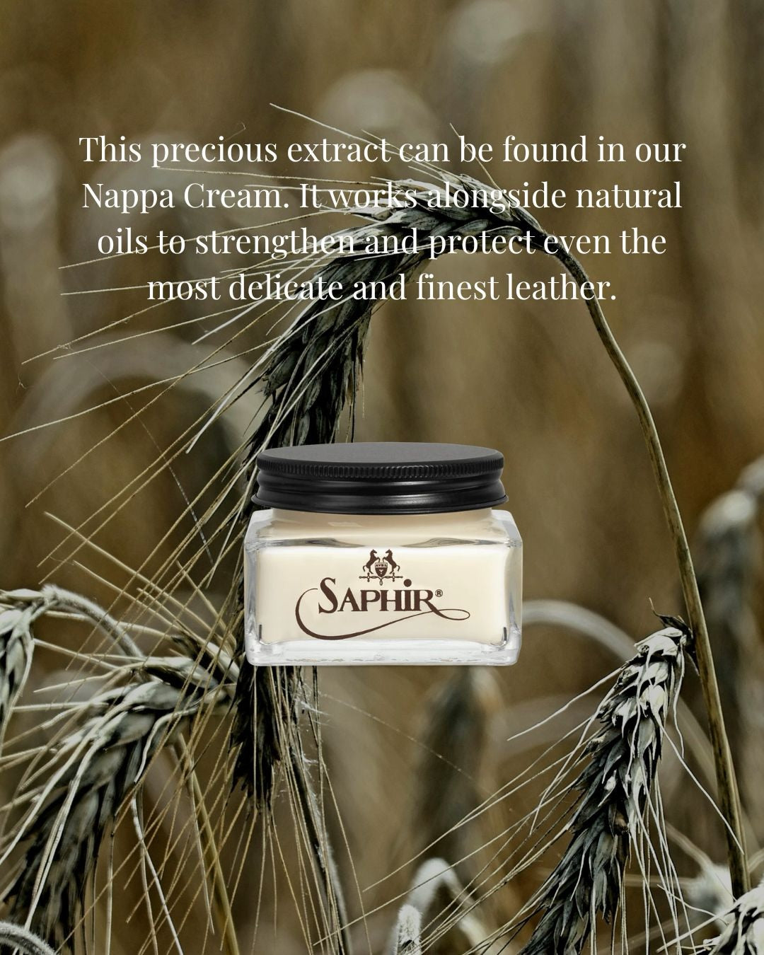 Leather Renovator Balm Nappa Saphir Médaille d'Or 2.5 fl oz