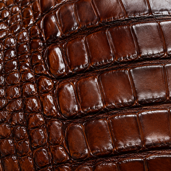 Reptile & Fish Leather